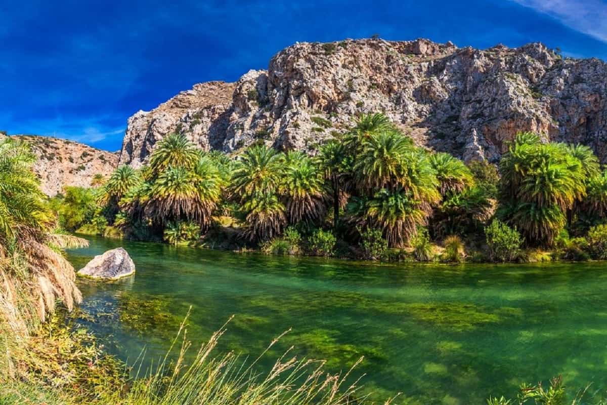 Crete day trip: a green river lined with tall palm trees runs below a bare rocky mountain under a deep blue sky, with reeds and dry grass in the foreground and a pale boulder in the water.