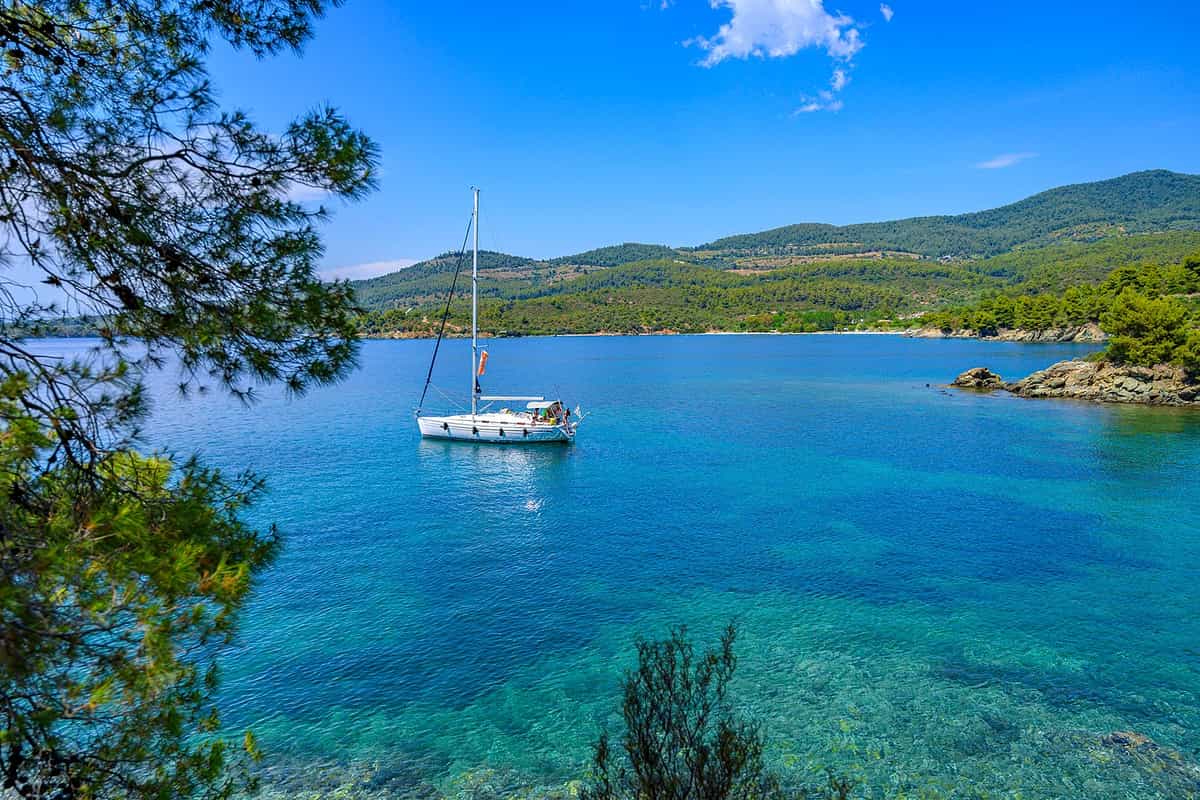 Halkidiki boat trip: a white sailing yacht with a tall mast at anchor in a calm turquoise bay, framed by pine branches on the left, with forested hills and a rocky headland behind, off the coast of Halkidiki.