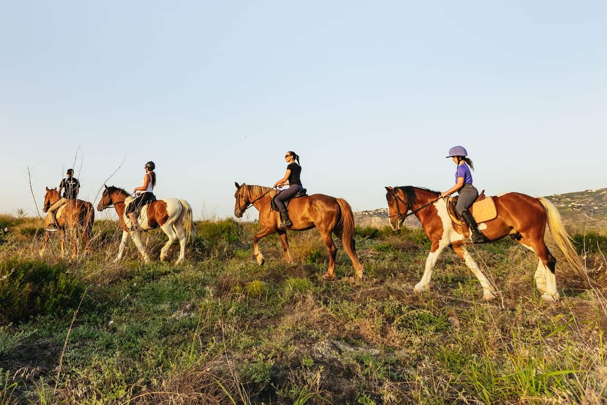 Heraklion horse riding: four riders on chestnut and brown-and-white horses walk in a line across a green grassy hillside in warm low sunlight under a clear blue sky, with a distant hill on the right.