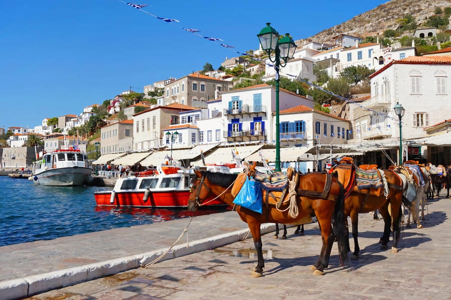 Saddled pack mules lined up on the stone harbour front on a Hydra day trip, with water taxis moored behind them
