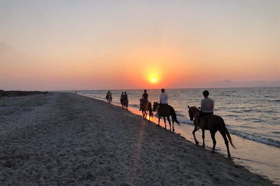 Kos horse riding at sunset: a line of riders on horses walking along a Kos shore
