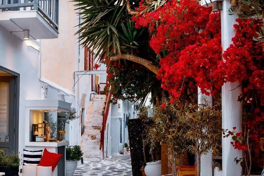 Mykonos transfer: a whitewashed lane with a white-edged stone path, a palm tree, bright red bougainvillea hanging over a white stairway, a balcony and a small shop window beside a striped bench with a red cushion.