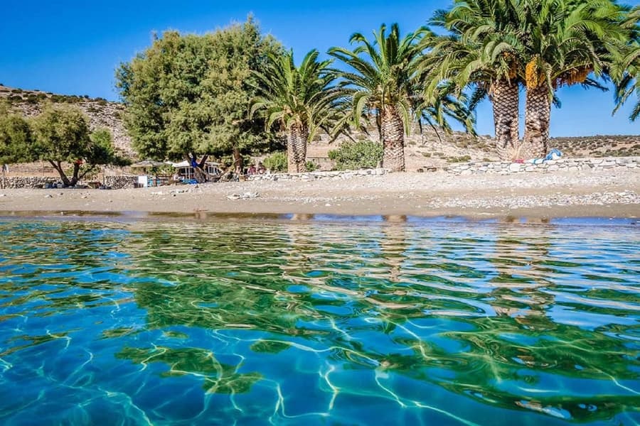 Naxos beach trip: clear turquoise water with rippling reflections lies in front of a sandy beach, with tall palm trees, green trees and a low stone wall behind it under a deep blue sky.