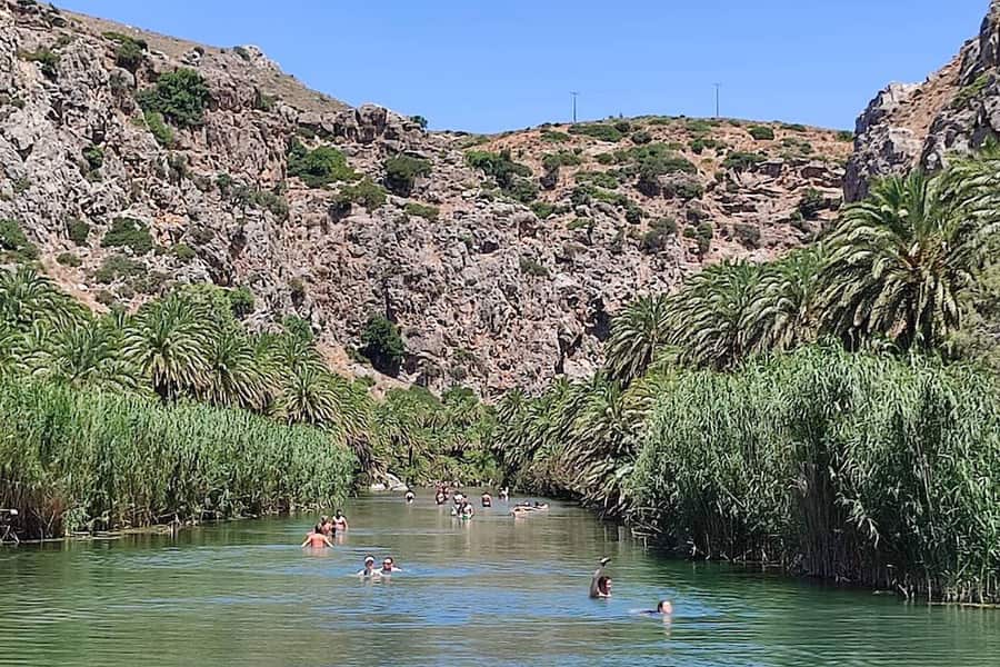 Preveli beach tour: swimmers in the calm green river of Preveli Palm Beach, between tall reed banks and palm trees below a rocky gorge wall under a clear blue sky.
