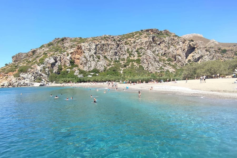 Rethymno boat trip: clear turquoise sea in a wide bay with a sandy beach and swimmers at the foot of a rocky hill, with a green strip of palm trees along the shore under a deep blue sky.