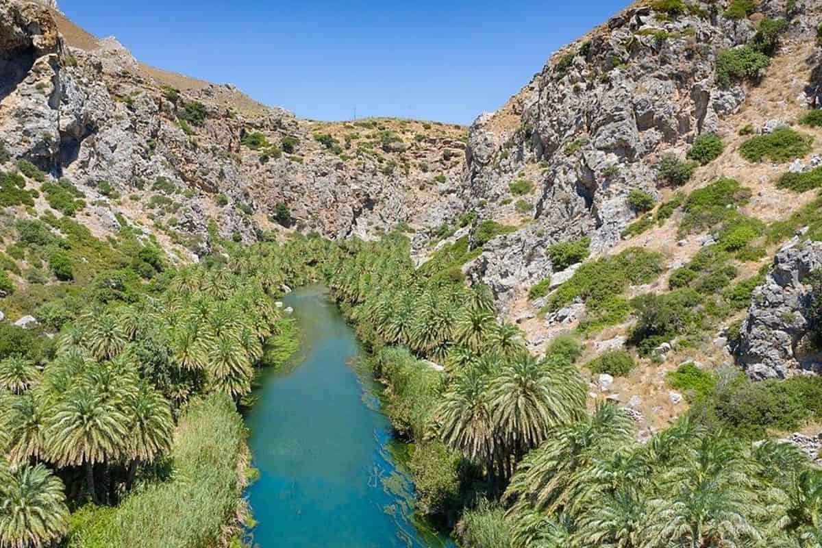 Rethymno hiking tour: an aerial view down a turquoise river winding between thick groves of palm trees and reeds, with rocky cliff slopes and green shrubs on both sides under a deep blue sky.