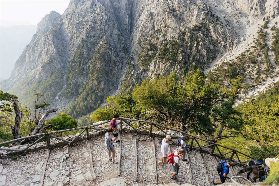 Samaria gorge tour: hikers climb and descend stone steps with timber edges and a wooden railing above steep, tree-covered rock slopes.